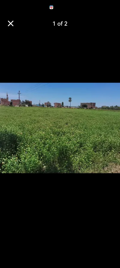 ارض زراعيه