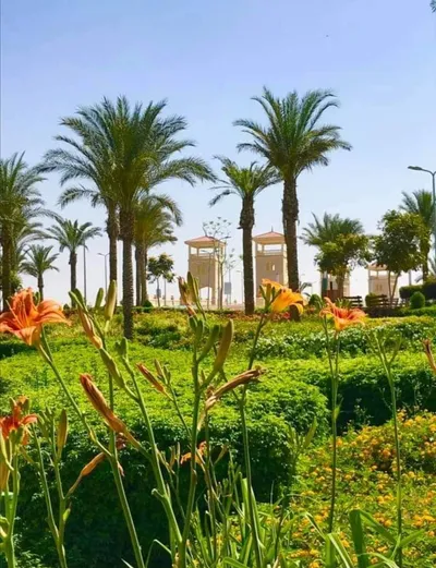 Apartment for sale in Other Locations in Cairo