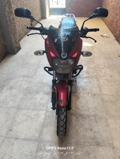 بجاج بلسر 