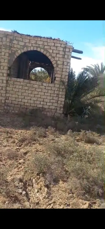 ارض 21 فدان لزراعه او للمزارع السمكيه او الدواجن 