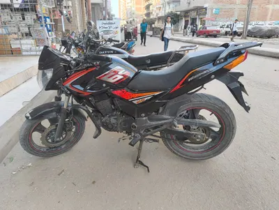 فيجوري 2022