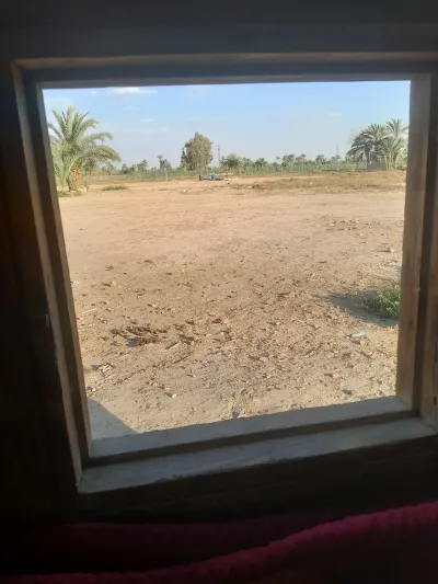 فدان بترول للبيع في بني سويف اهناسيا المدينه لتواصل 01555958
