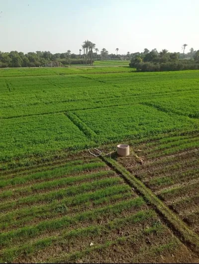 عشرة افدنه للبيع 